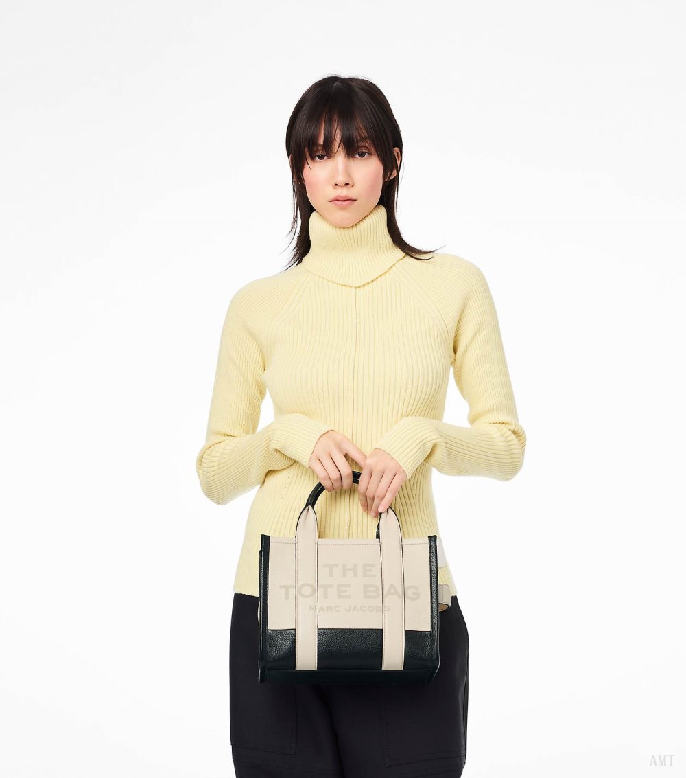 The Colorblock Small Tote Bag